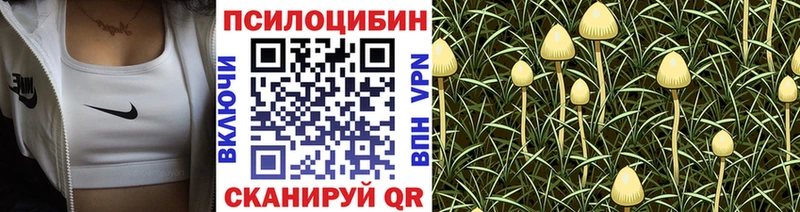 Купить закладки  Исилькуль  Галлюциногенные грибы Magic Shrooms 